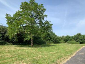 Photo 16- click for photo gallery